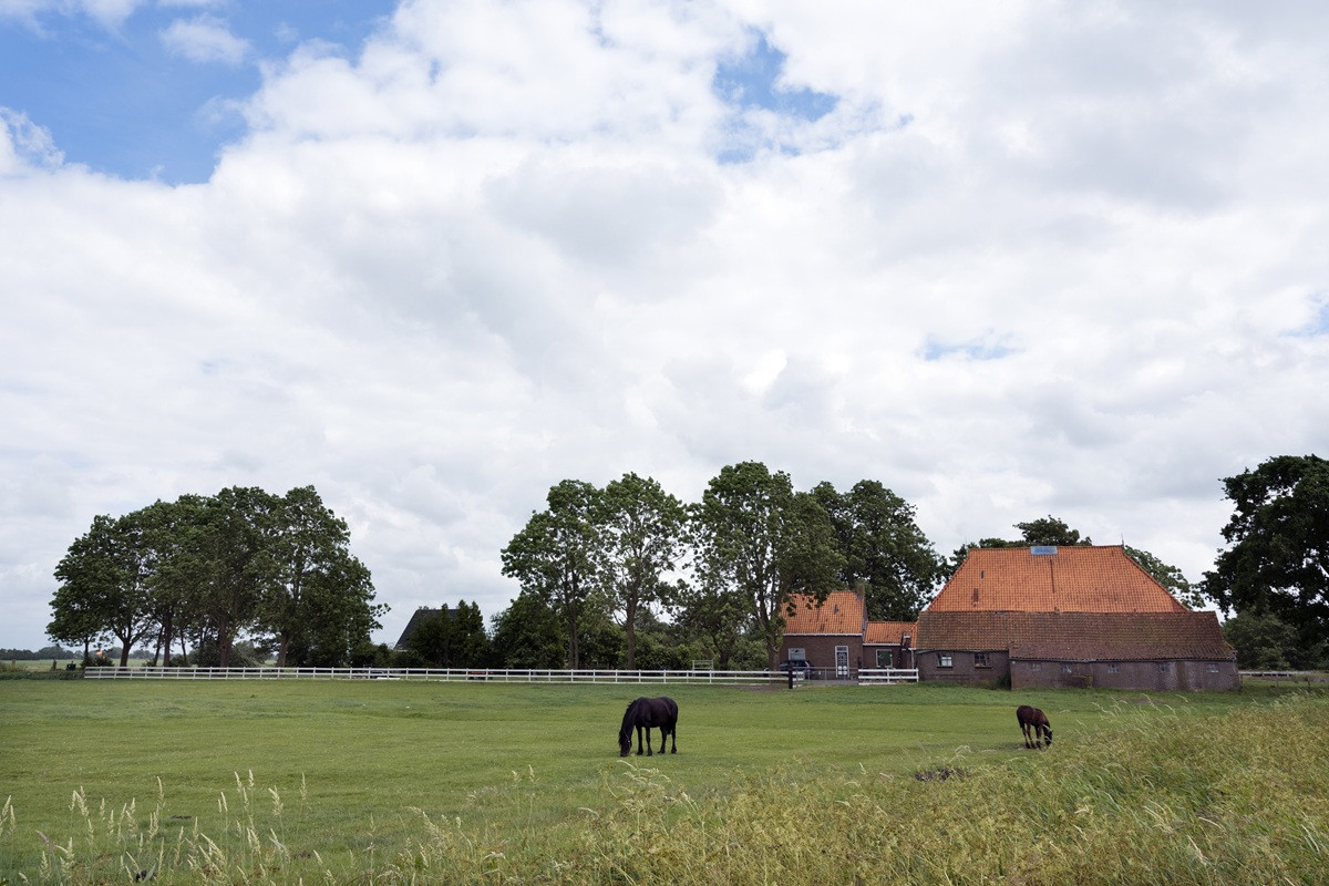Woonboerderij met schuur, paardenbak en weiland: 10,4% of 2% overdrachtsbelasting?