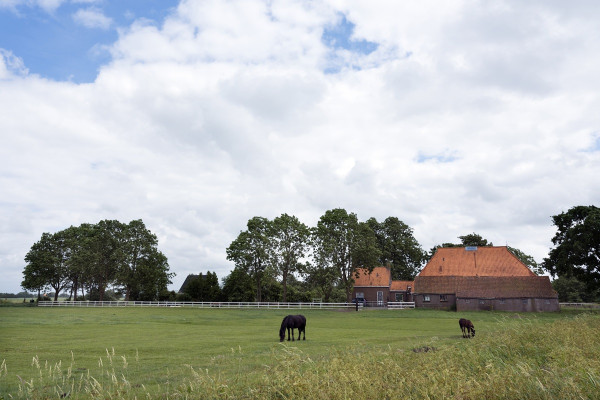 Woonboerderij met schuur, paardenbak en weiland: 10,4% of 2% overdrachtsbelasting?